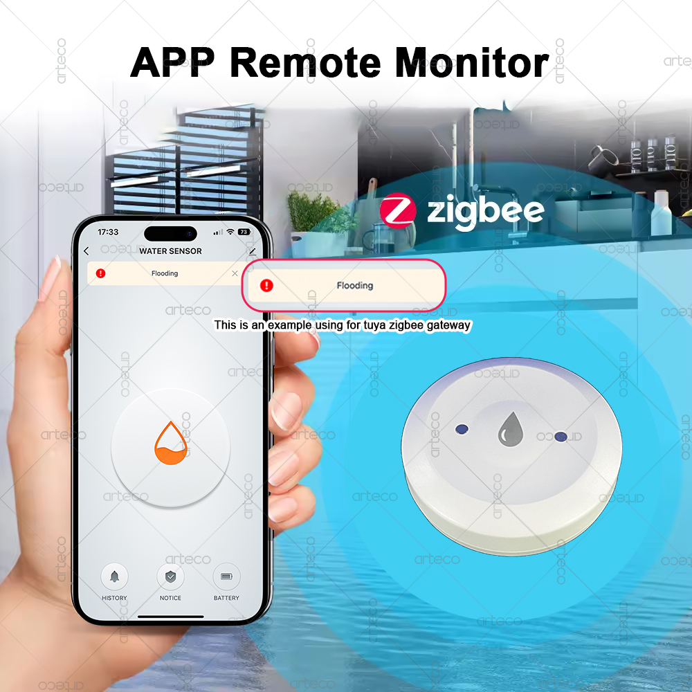 الذكية زيجبي استشعار المياه ال - مراجعة Smart Home Gateway وسعره